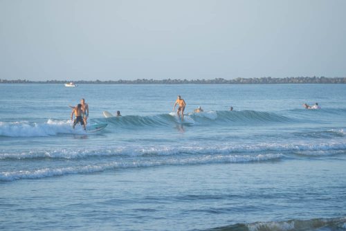 DSC03639