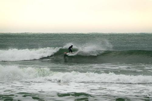 Untitled-636