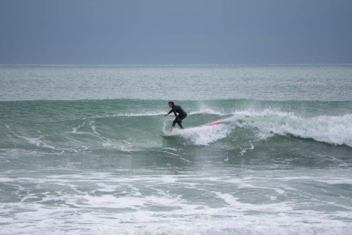 DSC05350