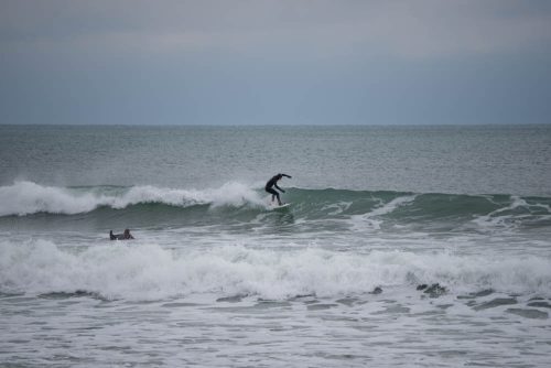 DSC05366
