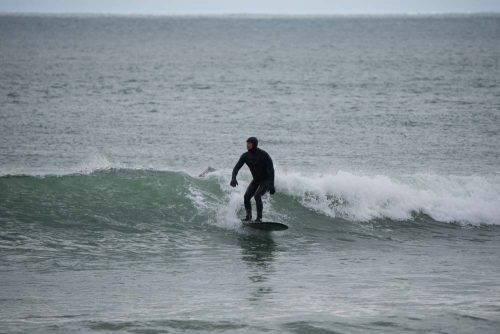 DSC05381
