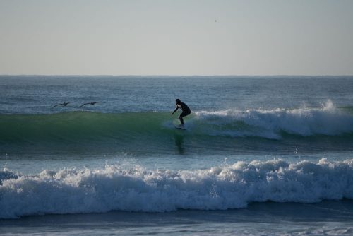 DSC05996