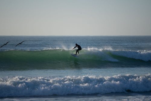 DSC05997