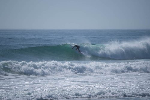 DSC05806