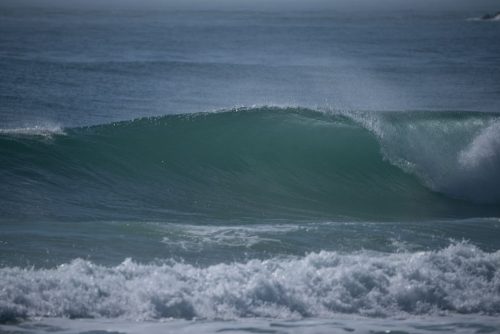 DSC05819