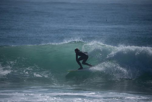DSC05820