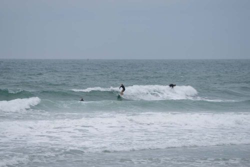 DSC04002