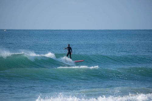 DSC06953