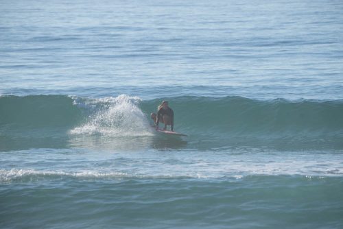 DSC07237