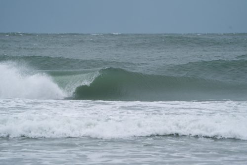 DSC00464