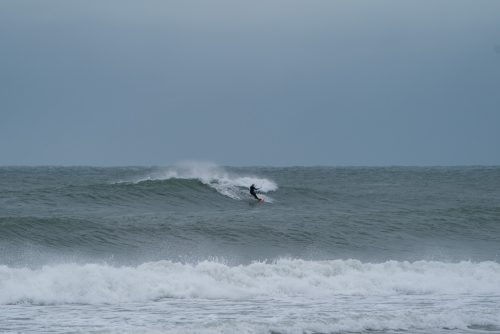 DSC00502