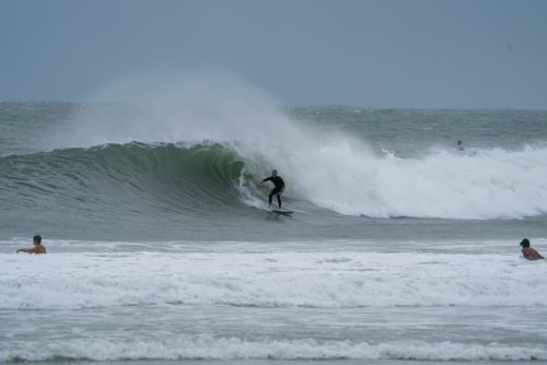 DSC00528