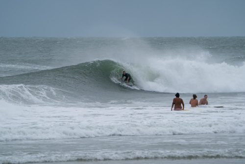 DSC00529