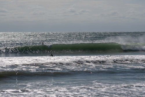 DSC00588