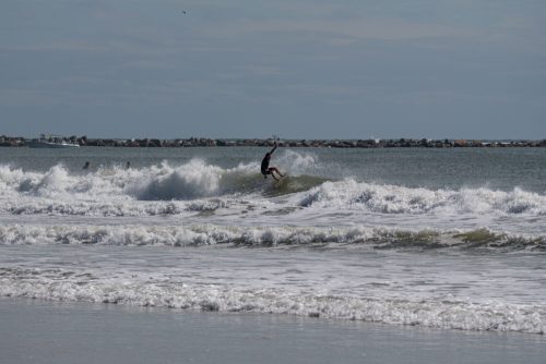 DSC00653