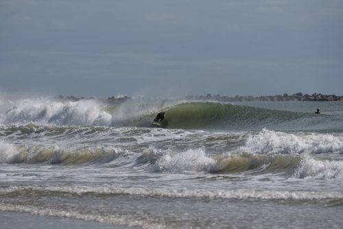 DSC00806