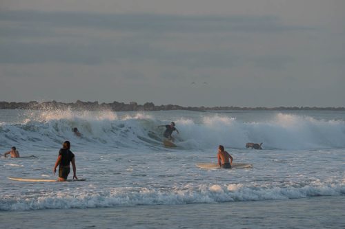 DSC06280