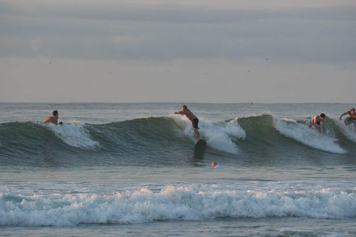 DSC06295