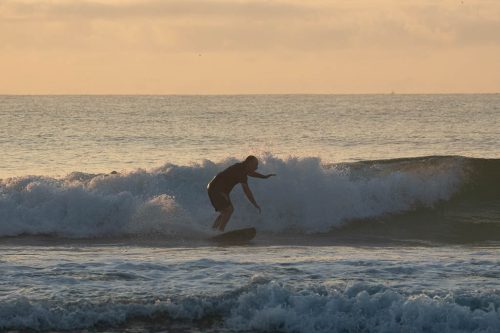 DSC06340