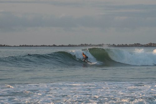 DSC06341